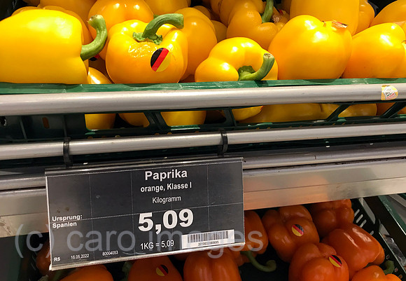 00S220523D086CAROEX.JPG