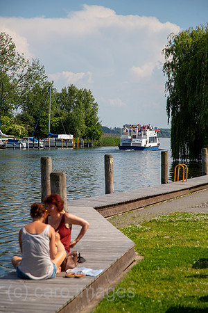 00A160604D001CAROEX.JPG