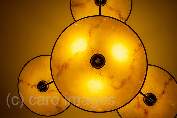 00A211104D360CAROEX.JPG