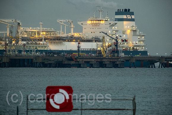 00A221215D097CAROEX.JPG