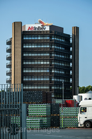 00A210716D256CAROEX.JPG