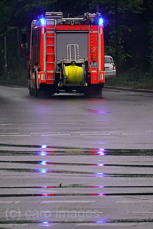 00S220606D242CAROEX.JPG