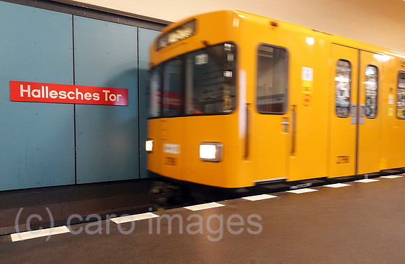 00S220603D235CAROEX.JPG