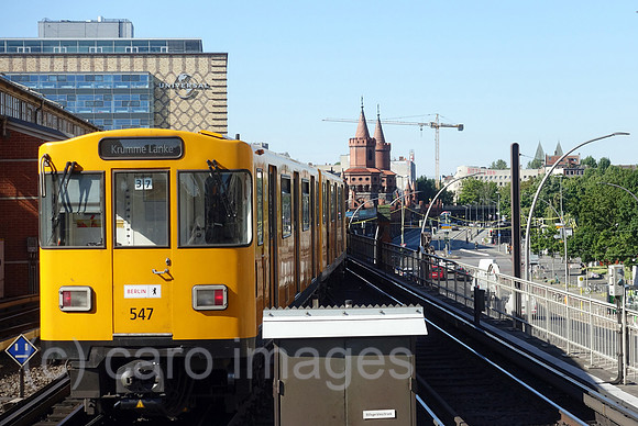 00S220603D227CAROEX.JPG