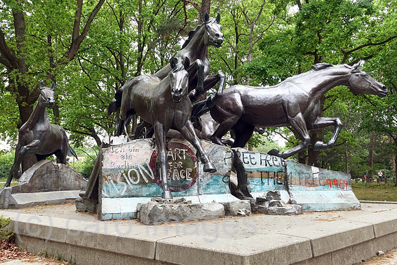00S220513D047CAROEX.JPG