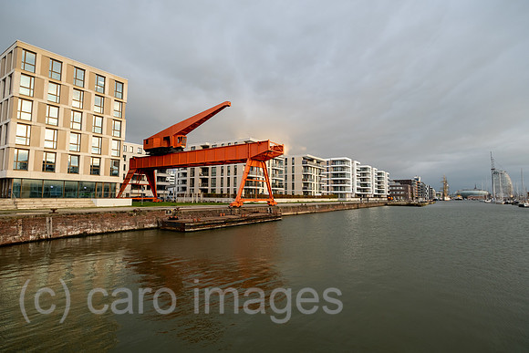 00A211104D318CAROEX.JPG