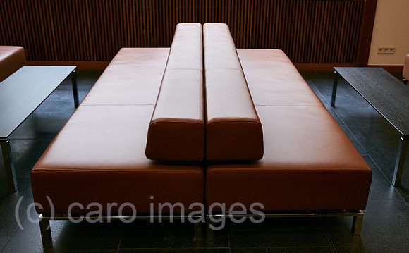 00R221130D006CAROEX.JPG