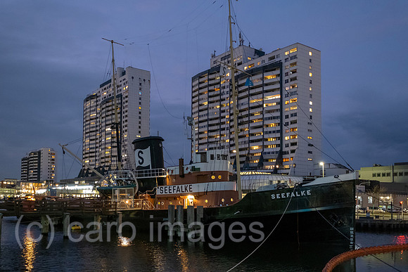 00A211104D397CAROEX.JPG