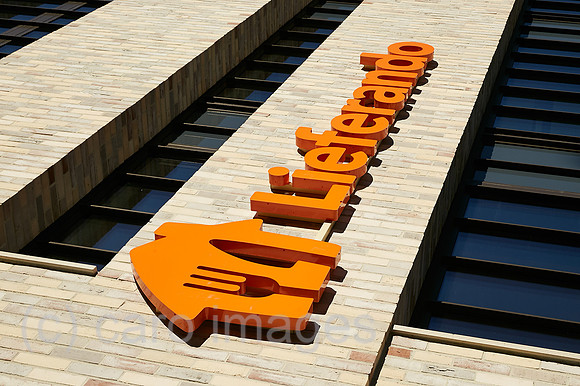 00R221005D032CAROEX.JPG