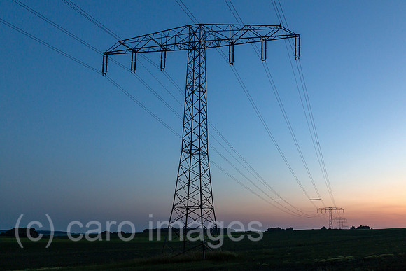 00A160603D284CAROEX.JPG