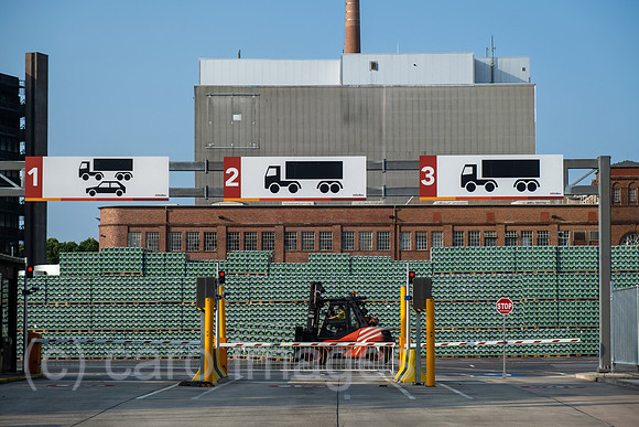 00A210716D263CAROEX.JPG