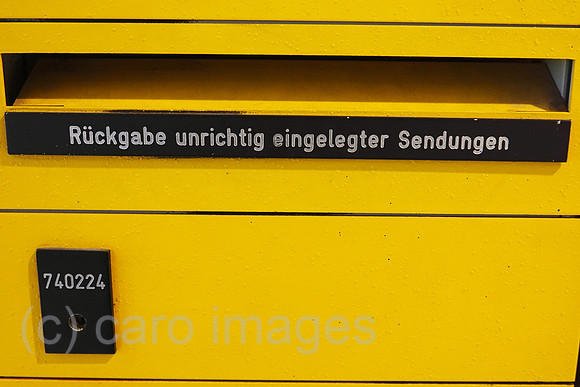 00S220317D021CAROEX.JPG