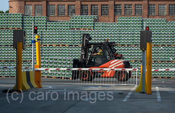 00A210716D273CAROEX.JPG