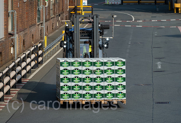 00A210716D212CAROEX.JPG