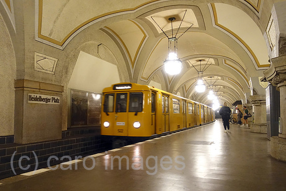 00S220513D054CAROEX.JPG