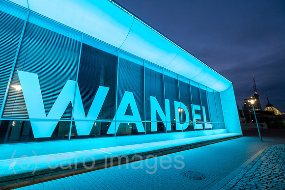 00A211104D376CAROEX.JPG