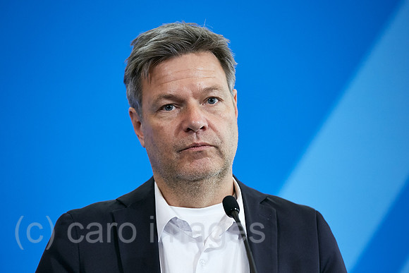 00R221130D168CAROEX.JPG