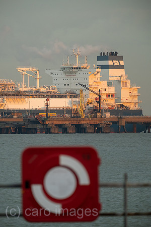 00A221215D064CAROEX.JPG
