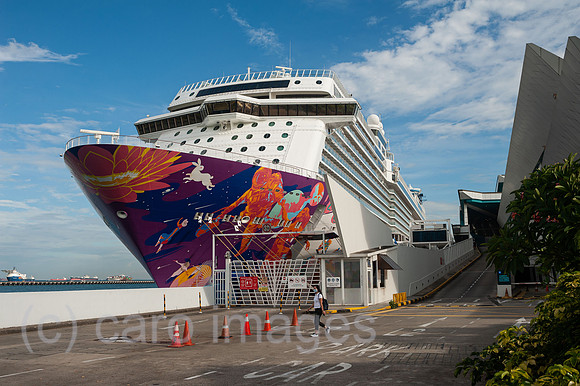 0SL201211D017CAROEX.JPG