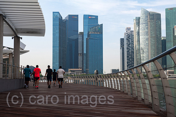 0SL210121D003CAROEX.JPG