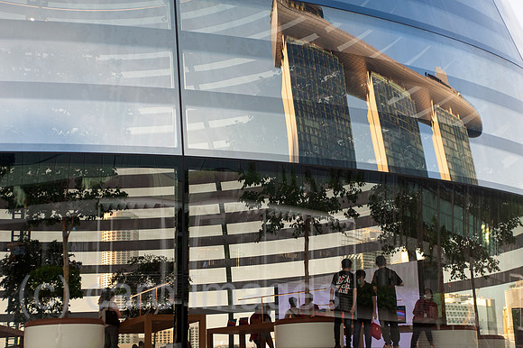 0SL201202D008CAROEX.JPG