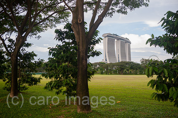 0SL201211D009CAROEX.JPG