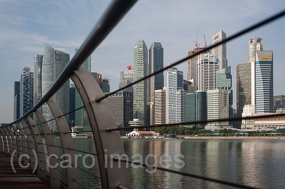 0SL210121D004CAROEX.JPG