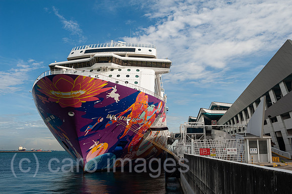 0SL201211D016CAROEX.JPG