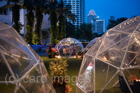 0SL201106D027CAROEX.JPG