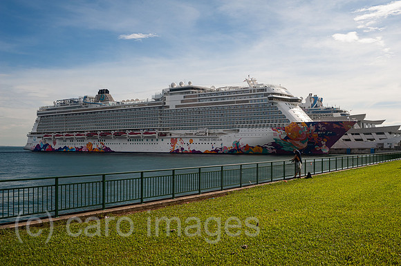 0SL201211D011CAROEX.JPG