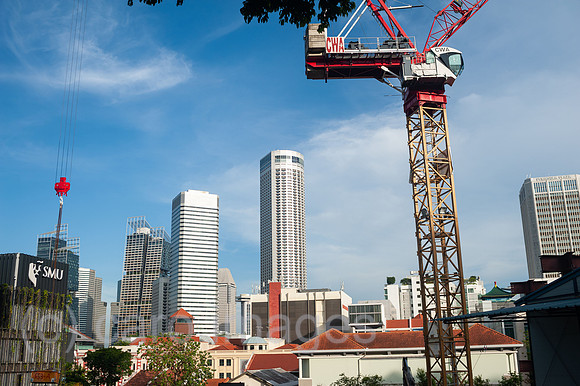 0SL201106D019CAROEX.JPG