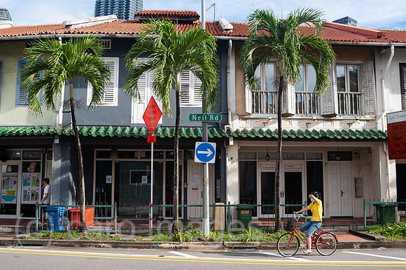 0SL201202D016CAROEX.JPG