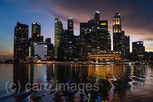 0SL201202D013CAROEX.JPG