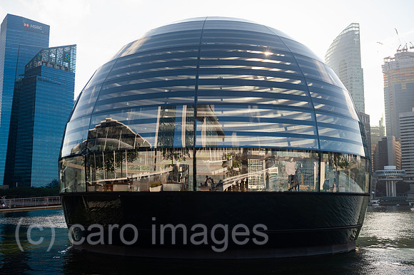 0SL201025D015CAROEX.JPG