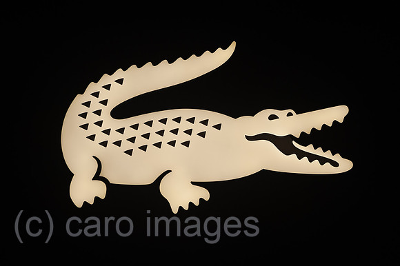 0SL210121D017CAROEX.JPG