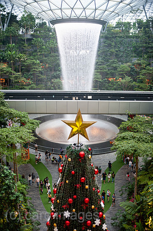 0SL201208D023CAROEX.JPG
