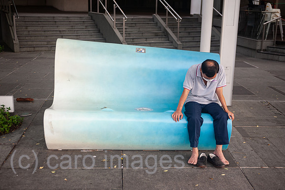 0SL201111D003CAROEX.JPG