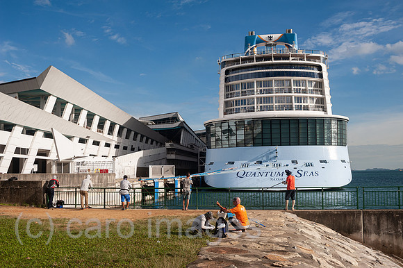 0SL201211D001CAROEX.JPG