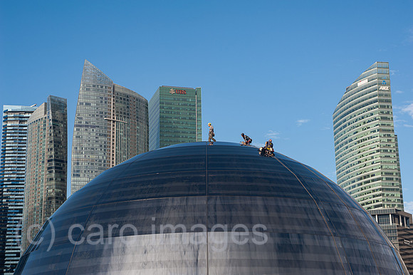 0SL210105D009CAROEX.JPG