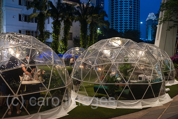 0SL201106D028CAROEX.JPG