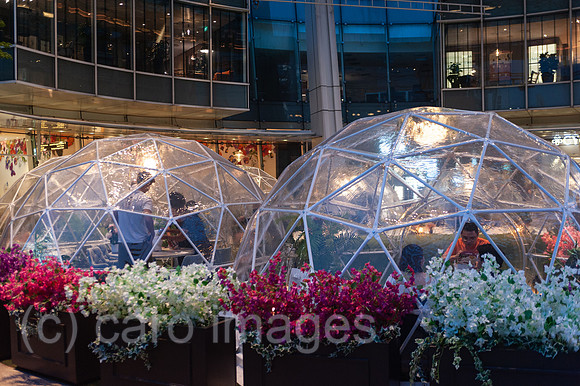 0SL201106D026CAROEX.JPG