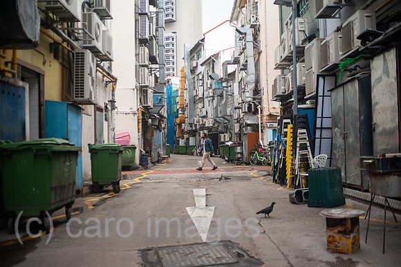 0SL201221D012CAROEX.JPG