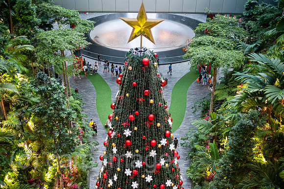 0SL201208D022CAROEX.JPG