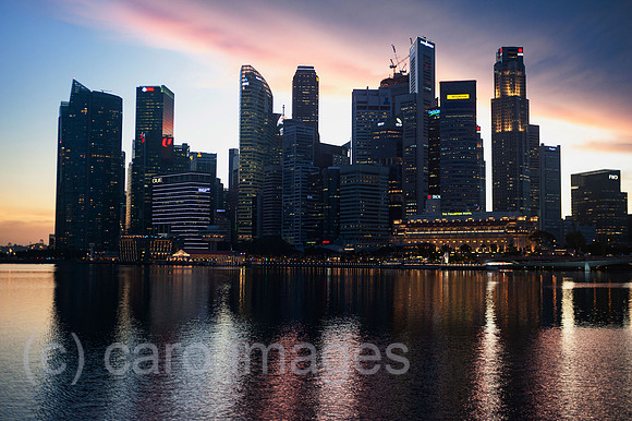 0SL201202D010CAROEX.JPG