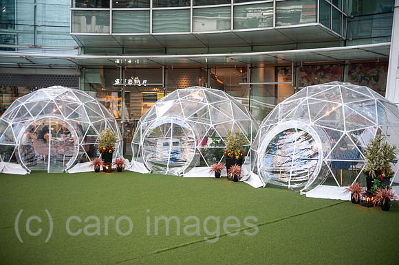 0SL201106D021CAROEX.JPG