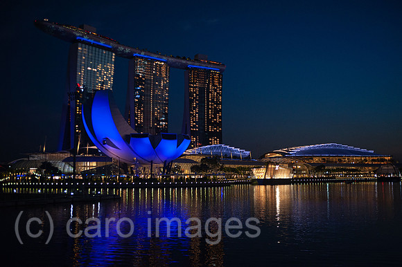 0SL201202D014CAROEX.JPG