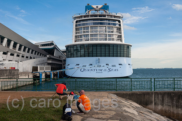 0SL201211D003CAROEX.JPG