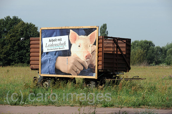 0MW100812D001CARO.JPG