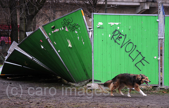 0MW110207D004CARO.JPG