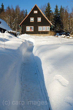 0MW101229D009CARO.JPG